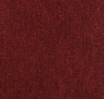 Ковролин Haima Coral 36 фото 1 | FLOORDEALER